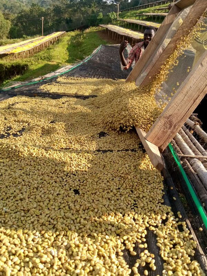 Yirgacheffe