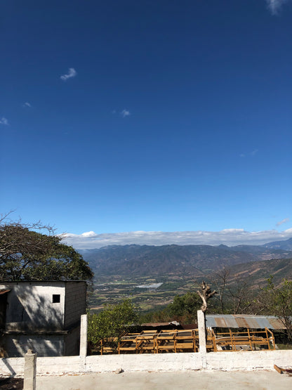 Rebel Yell by Romeo Jimenez